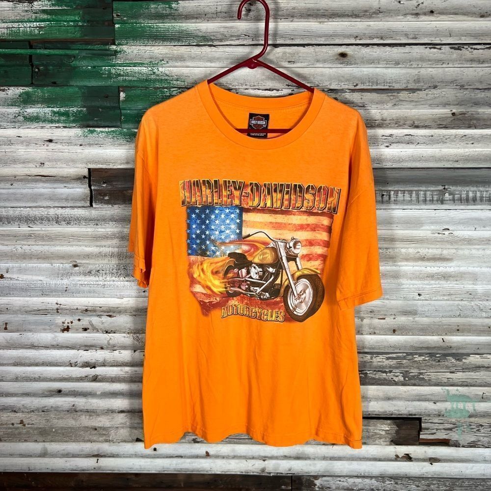 Vintage Harley Davidson Shirt